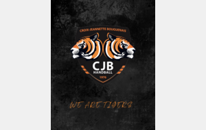 📊 LE POINT SUR LES CLASSEMENTS 🐯