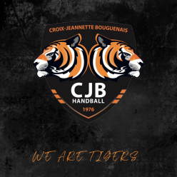 📊 LE POINT SUR LES CLASSEMENTS 🐯